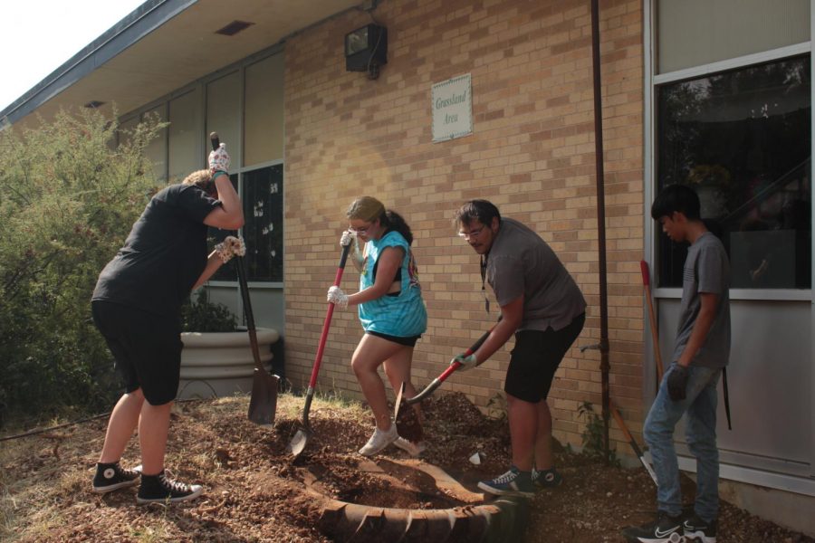 New Garden Club Revives Outdoor View